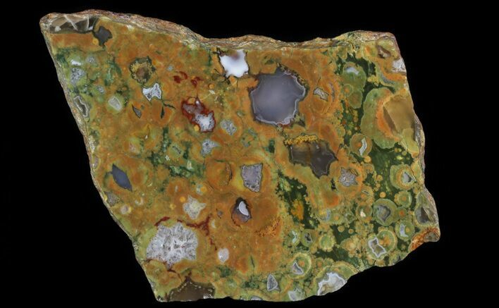 Polished Rainforest Jasper (Rhyolite) Slab - Australia #65345